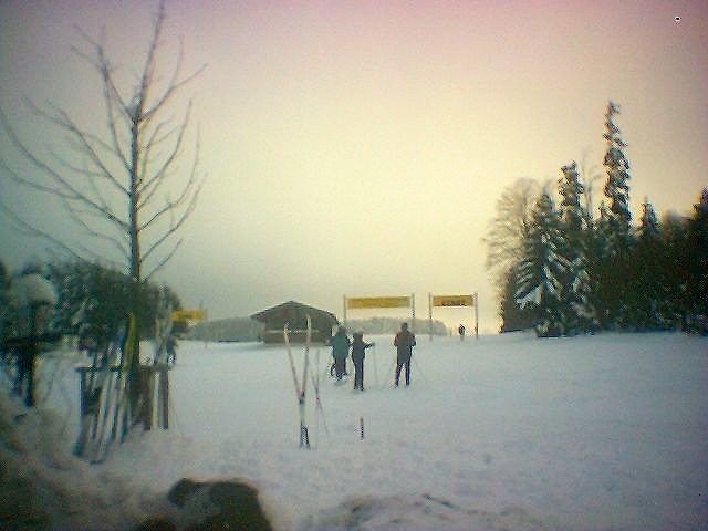 2006_blutwurz-loipenstart.jpg