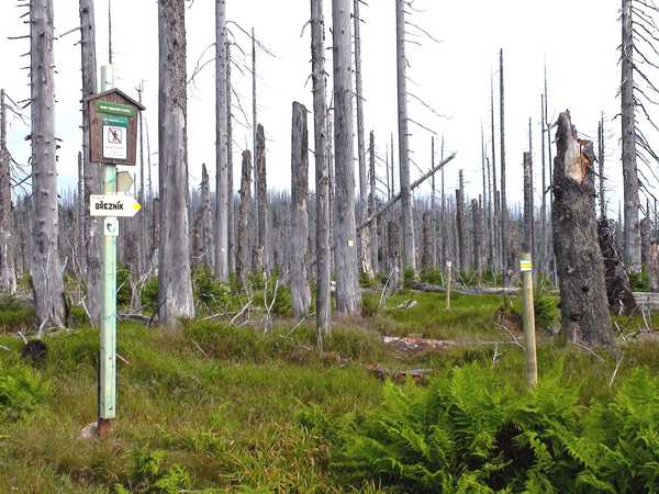 der Grenzsteig beim Kleinen Spitzberg - Lusenbachtal