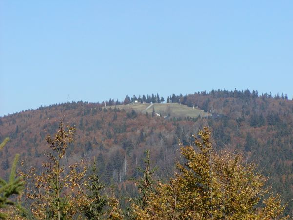 der Almberg vom Grandelberg aus gesehen