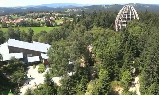 das Baum-Ei beim Hans-Eisenmann-Haus in Neuschönau