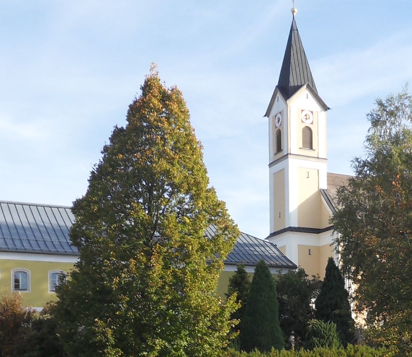breitenberg.jpg