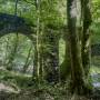 erlau_wanderweg_bruecke.jpg