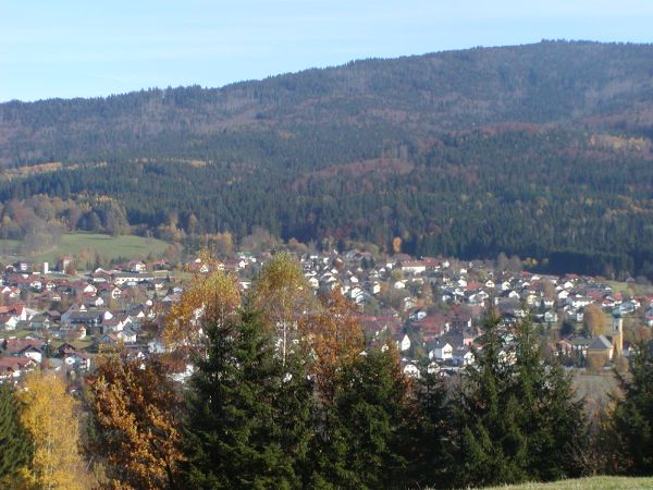 Frauenau