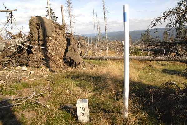 der Weg nach Sumava bei Grenzstein 10-2 in der Nähe vom Lackaberg