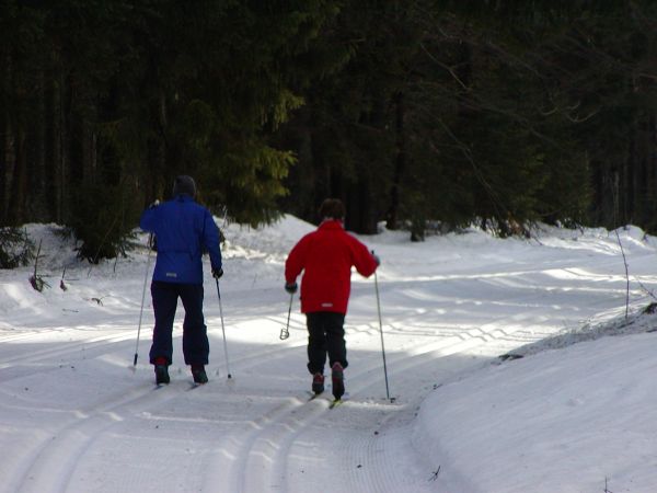 auf der Loipe in Herzogsreut