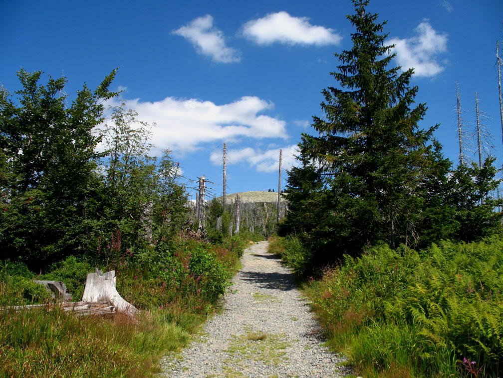 Gipfelkreuz