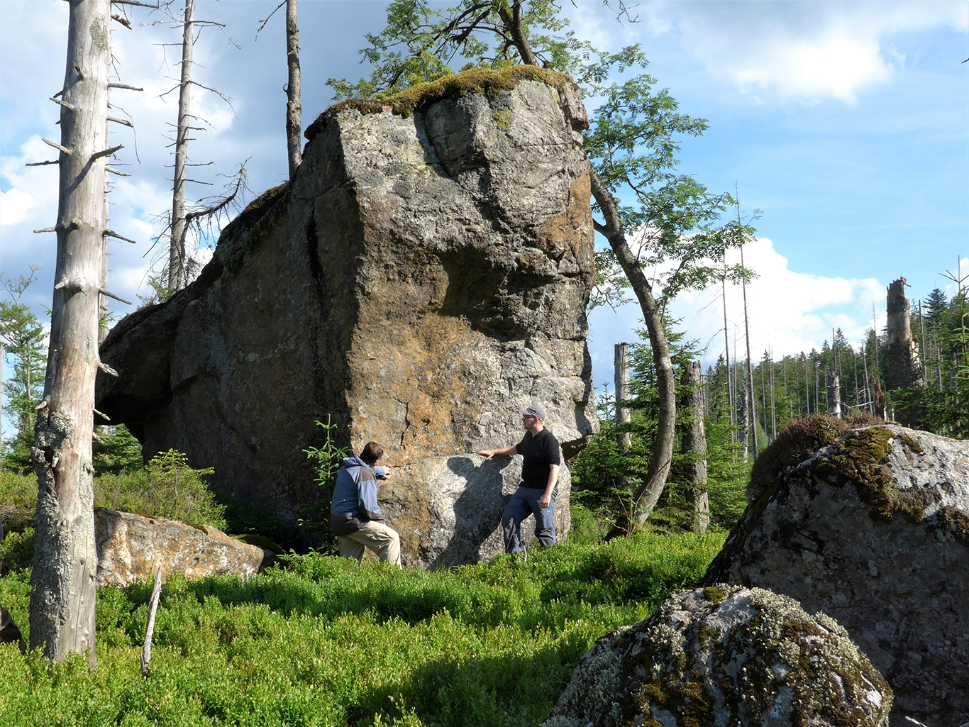 npv_bw_-_pm_09-20_der_naturraum_bayerischer_wald_-_sumava_in_den_eiszeiten_2_.jpg