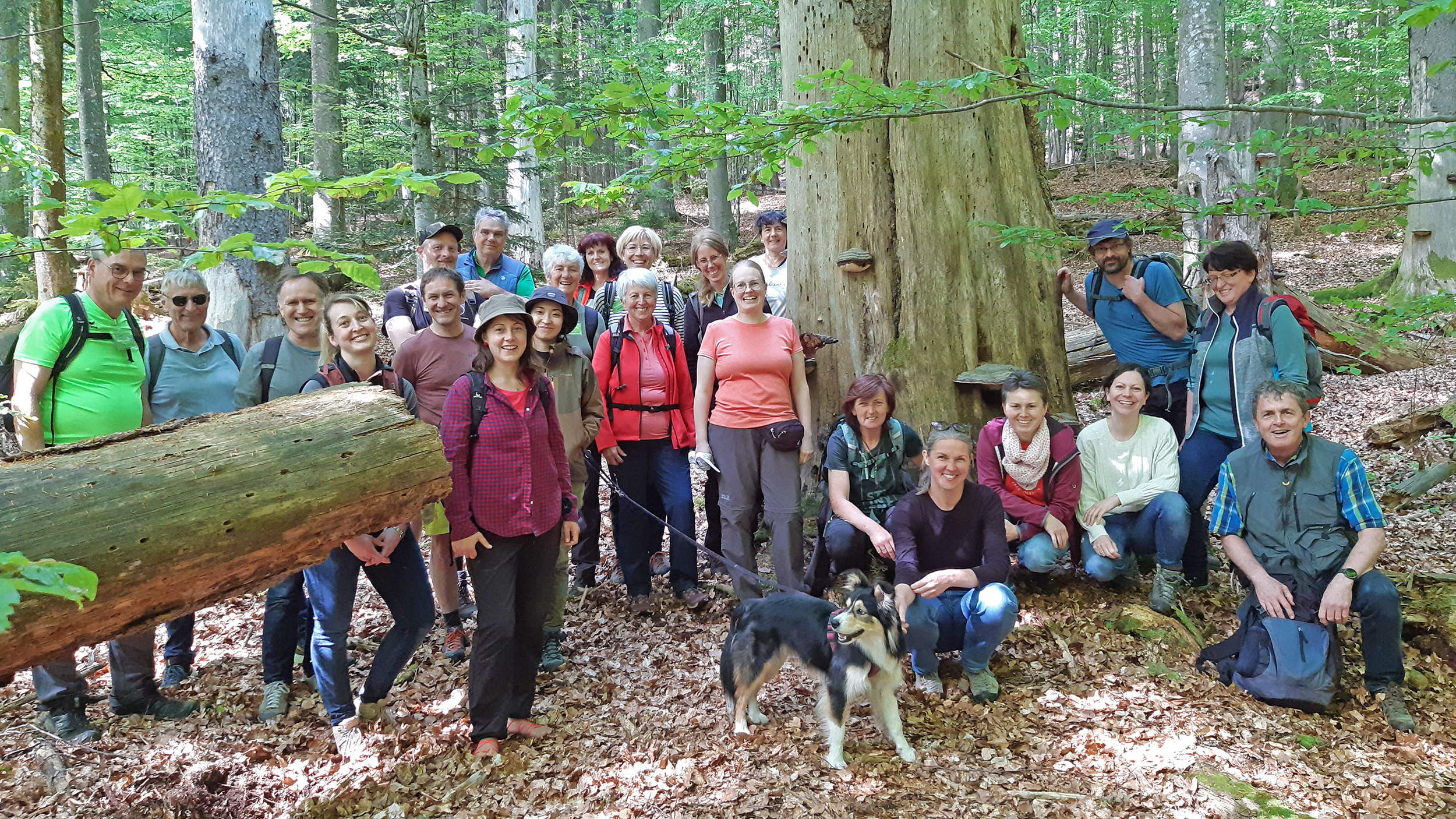 npv_bw_-_pm_55-23_22_neue_nationalpark-waldfuehrer.jpg