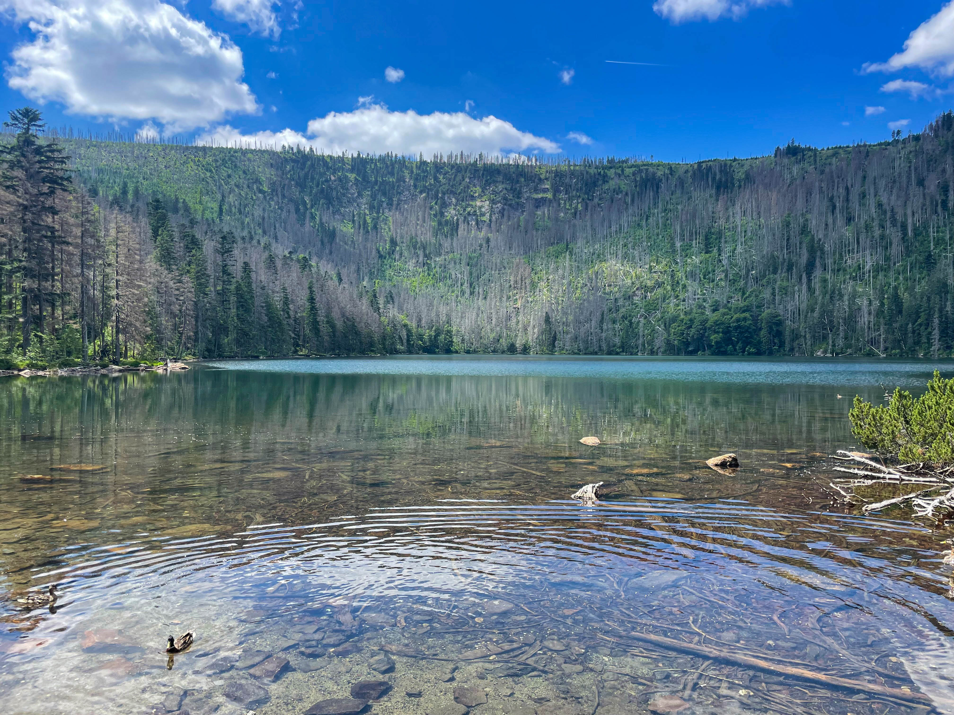 npv_bw_-_vm_040-25_mit_dem_radl_zum_schwarzen_see.jpg