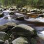 npv_bw_-_vm_095-25_wildwasser_im_boehmerwald.jpg