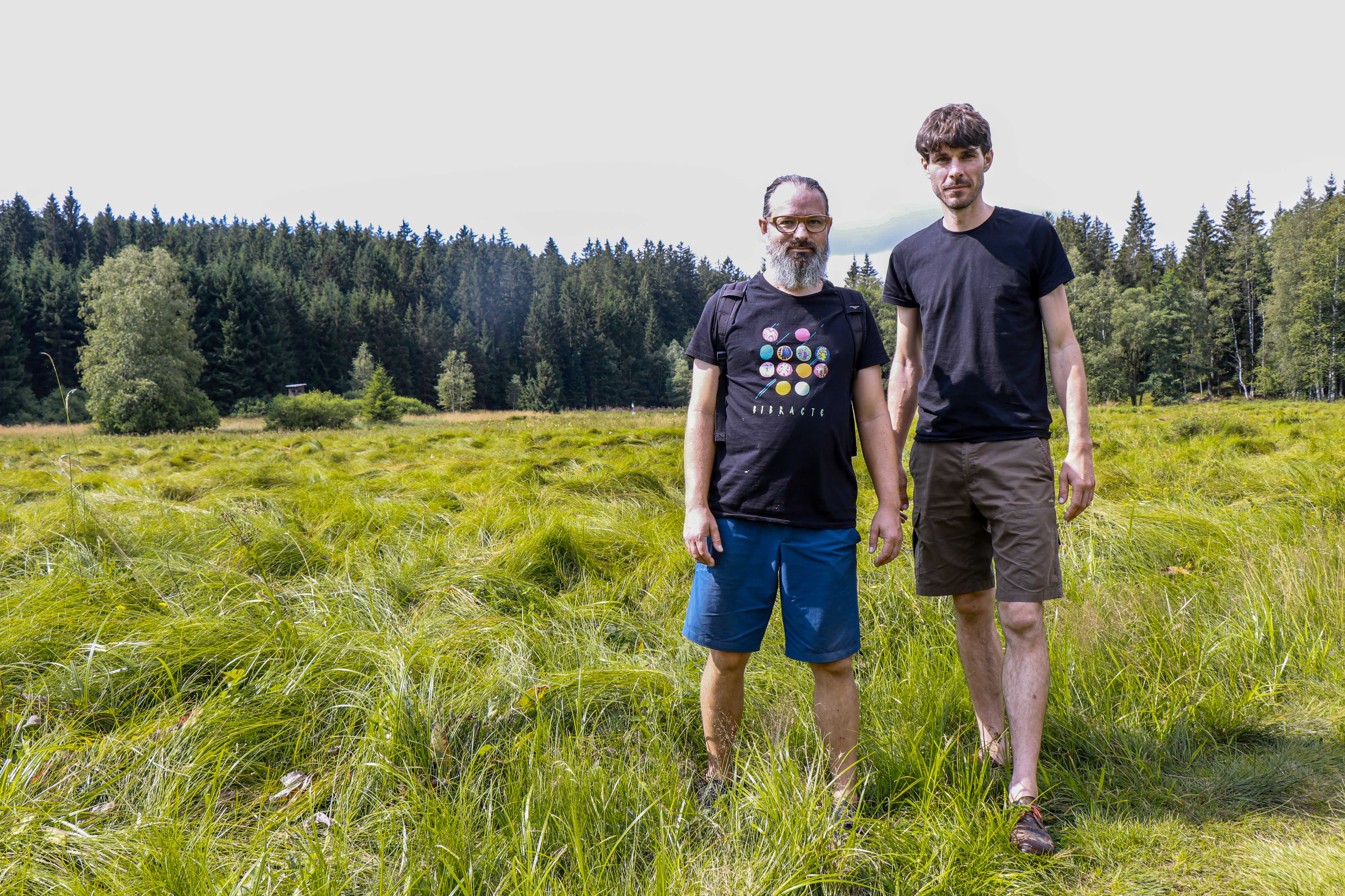 npv_bw_gemeinschaftsprojekt_fuer_kreuzotter_waldeidechse_und_grasfrosch.jpg
