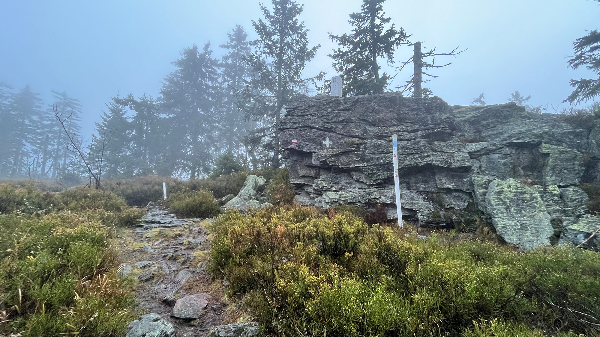 npv_bw_hoch_droben_im_kuenischen_gebirge.jpg