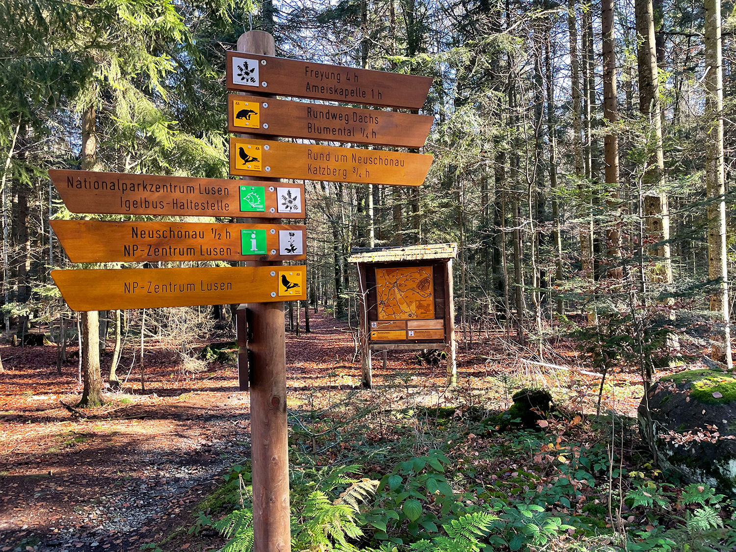 npv_bw_spueren_wie_gut_der_wald_tut.jpg