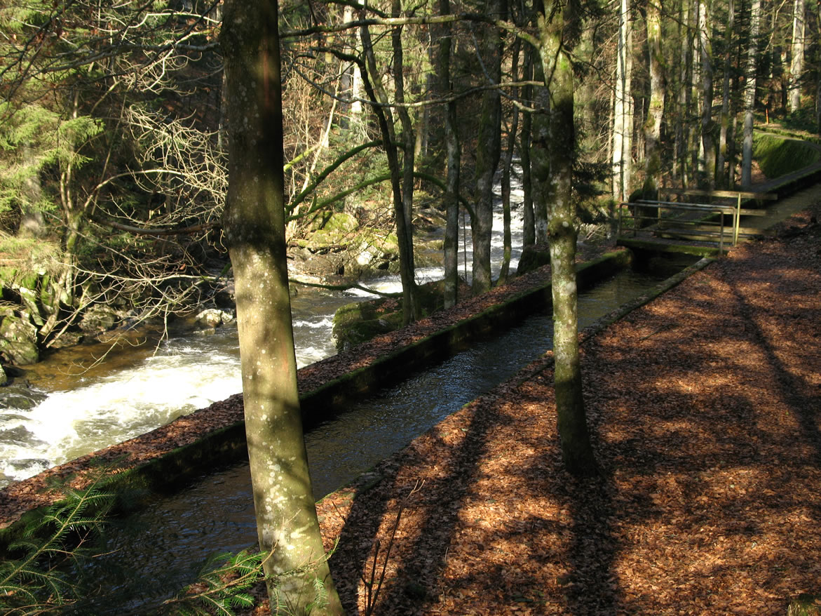 Gegenläufige Fließrichtung bei der Scher Reschbach-Saußbach