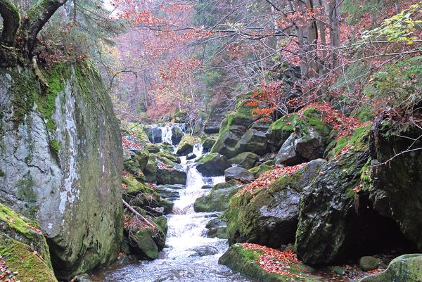 in der Steinklamm