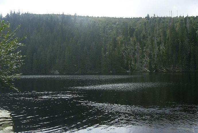 stubenbachersee.jpg