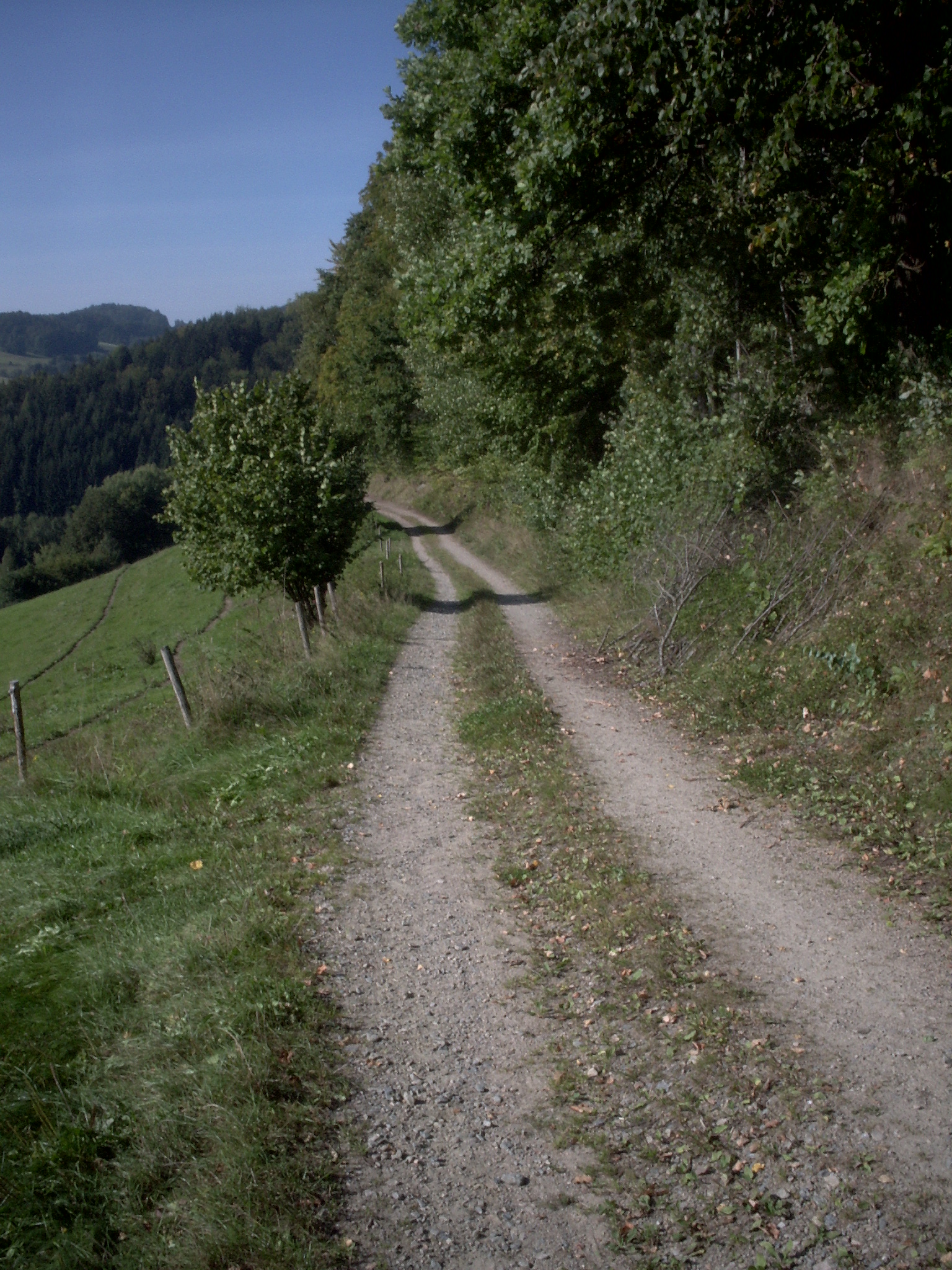 Wanderweg beim Hötzhof