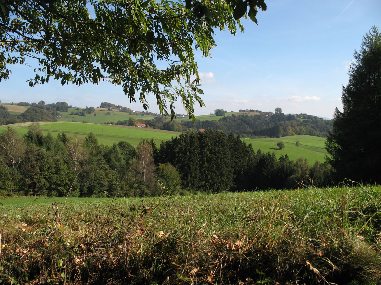  Aussicht bei Ebersdorf