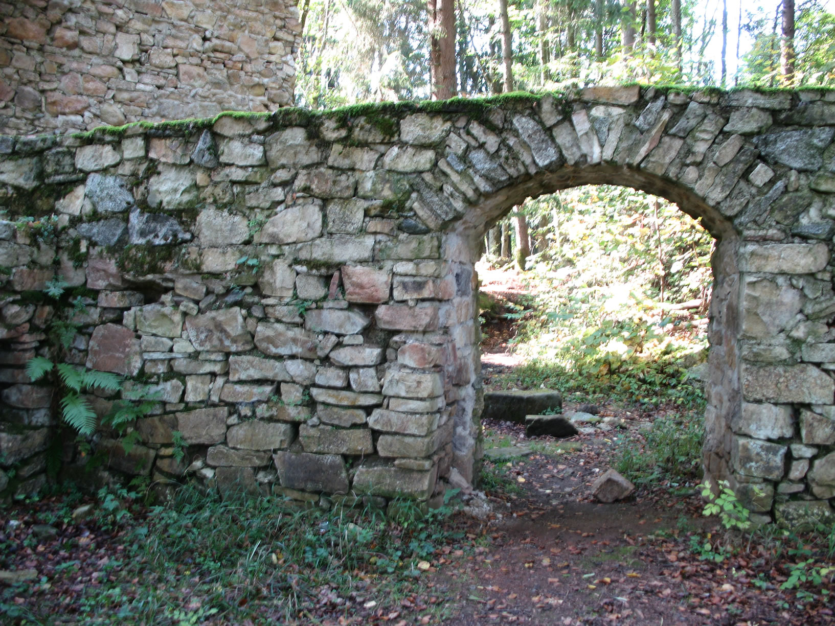 Burgruine Dießenstein