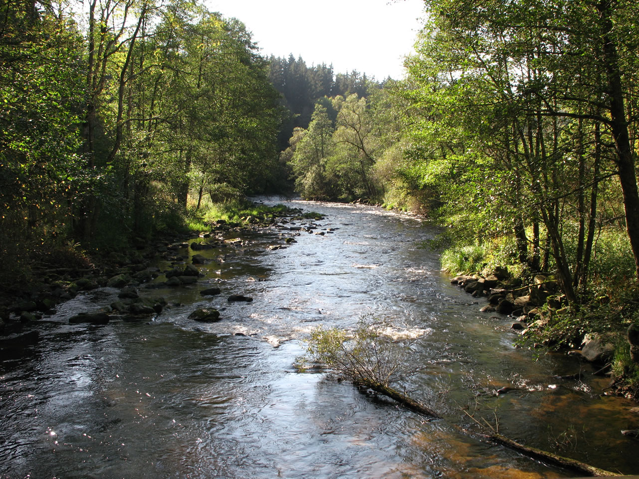 Ilz bei Dießenstein