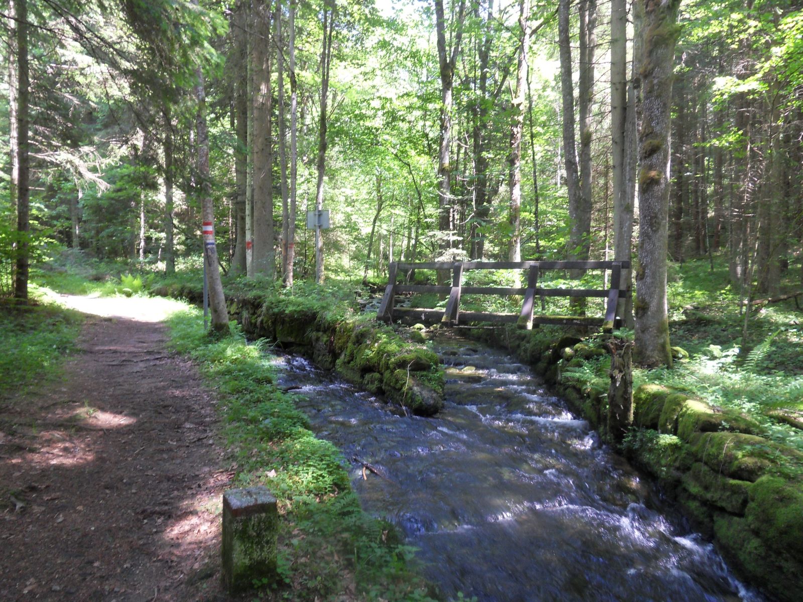 am Schwarzenberger Schwemmkanal