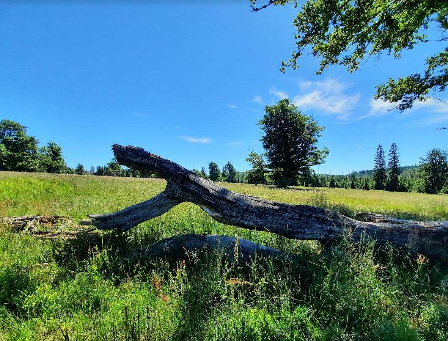 Schachten bei Buchenau