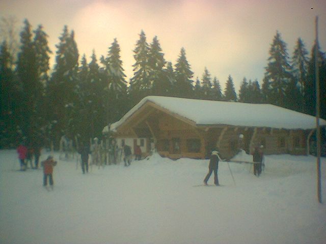 bei der "Blutwurz-Hütte"