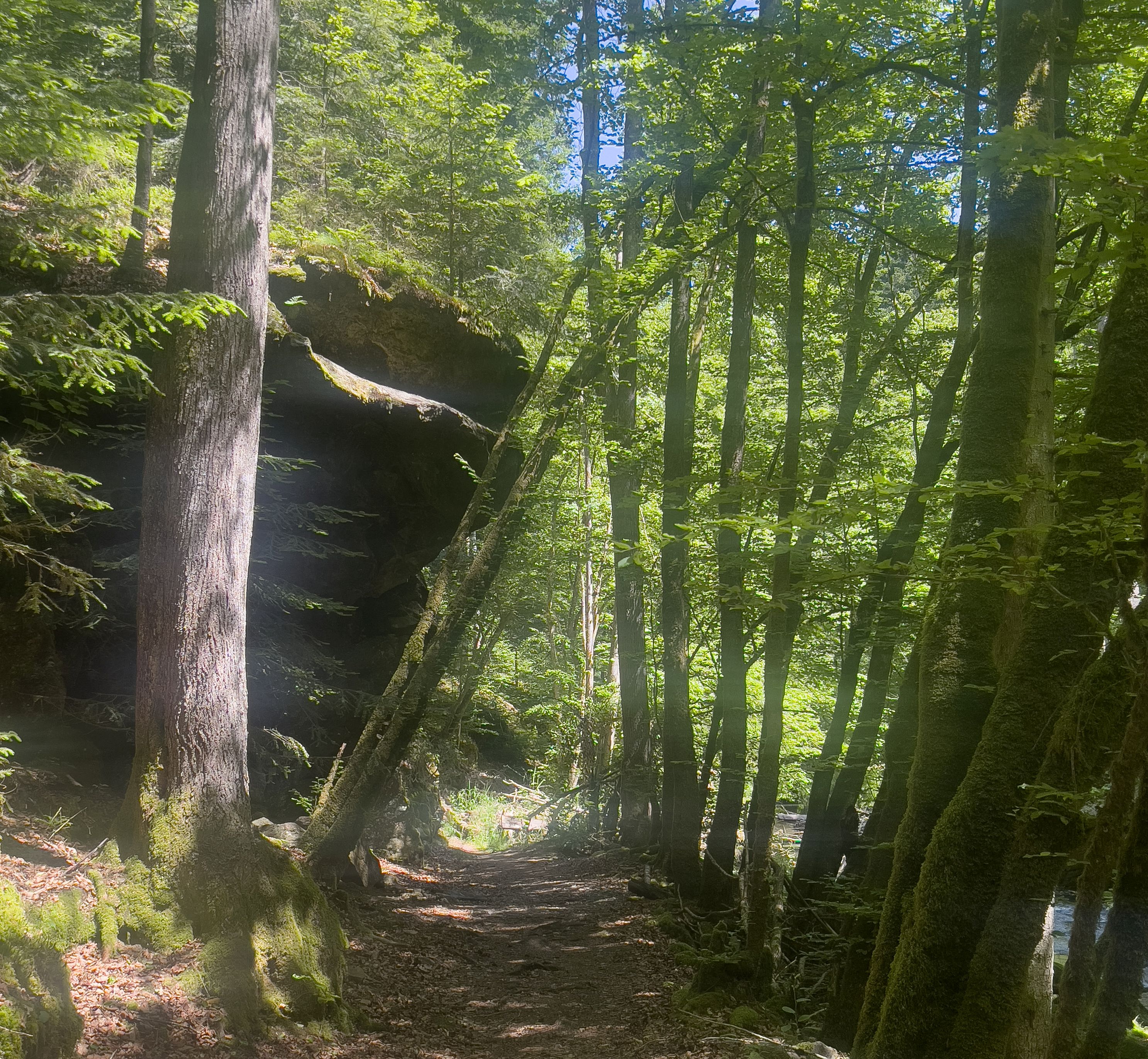 Wanderweg