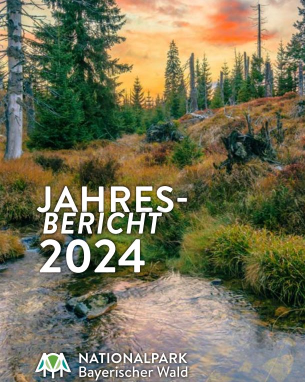 Jahresbericht 2024 der Nationalparkverwaltung Bayerischer Wald