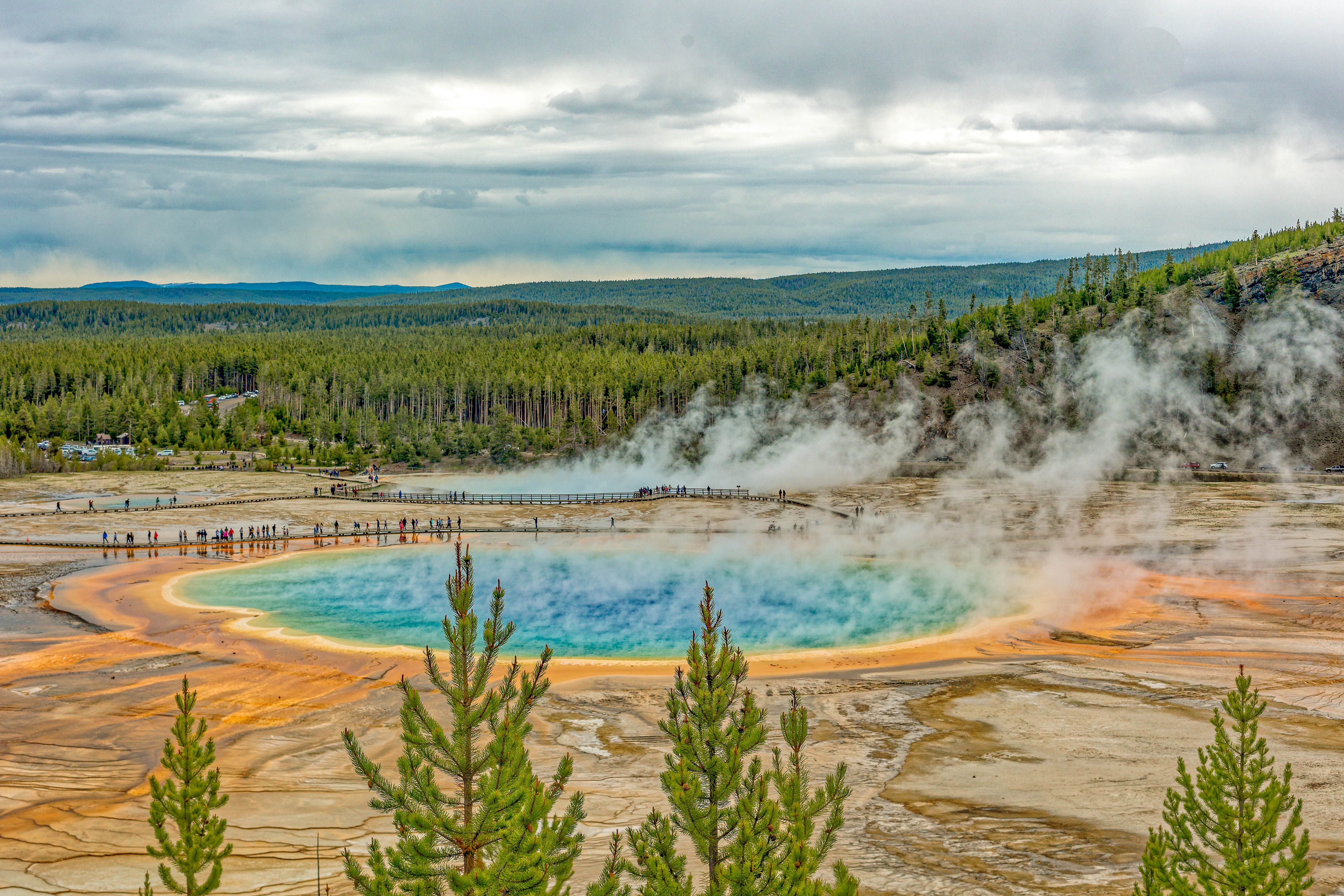 im Yellowstone Nationalpark