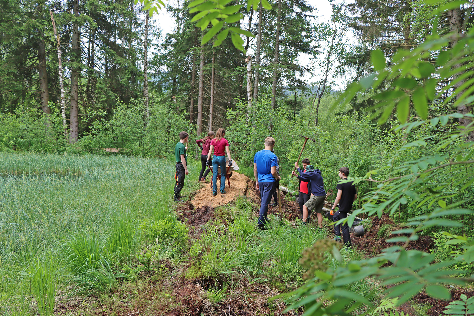 Um den Damm wieder luftdicht zu verschließen halfen viele Schülerinnen und Schüler mit. (Foto: Nationalpark Bayerischer Wald) 