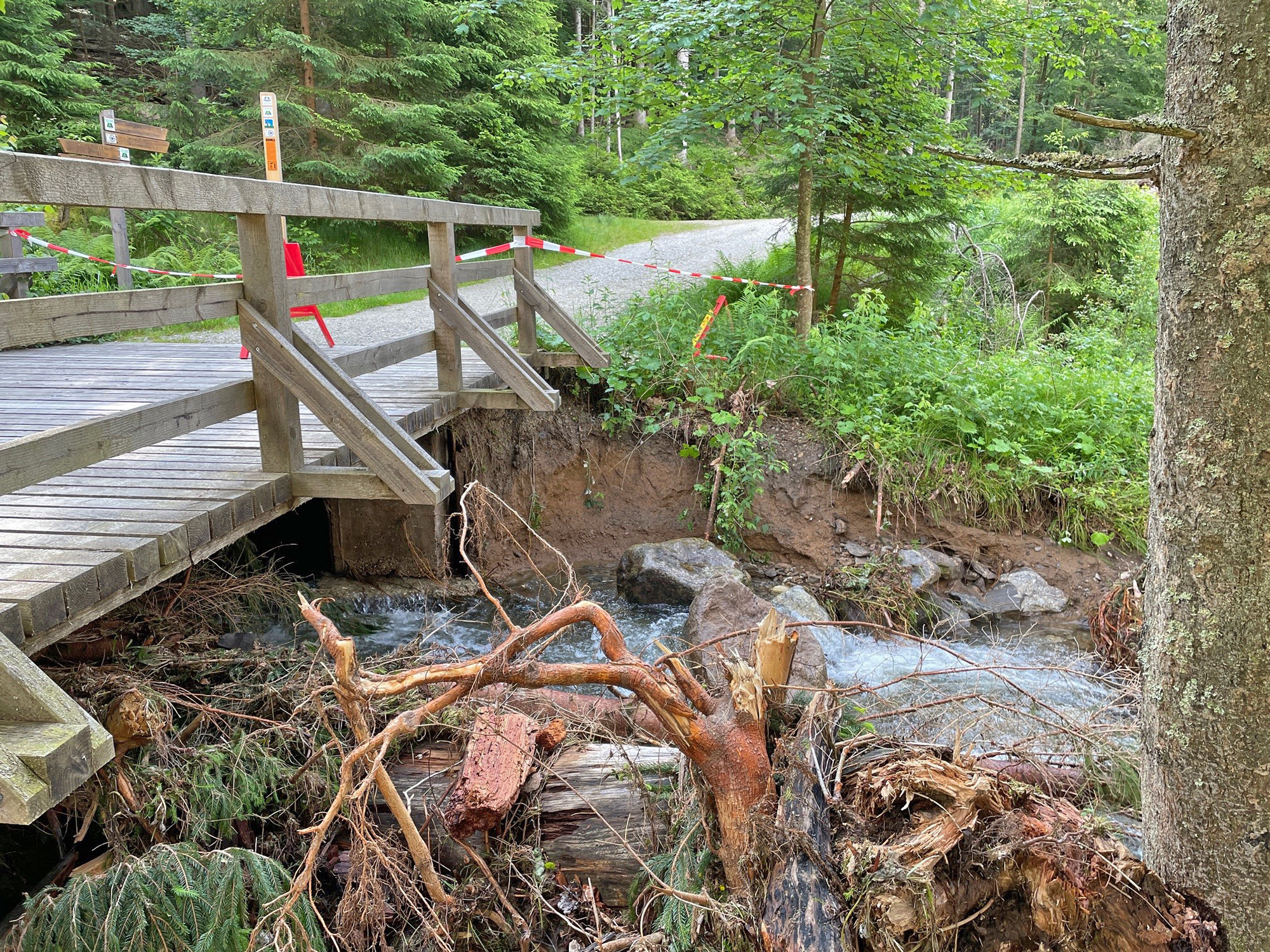 Die Brücke über die Große Deffernik im Ferdinandsthal