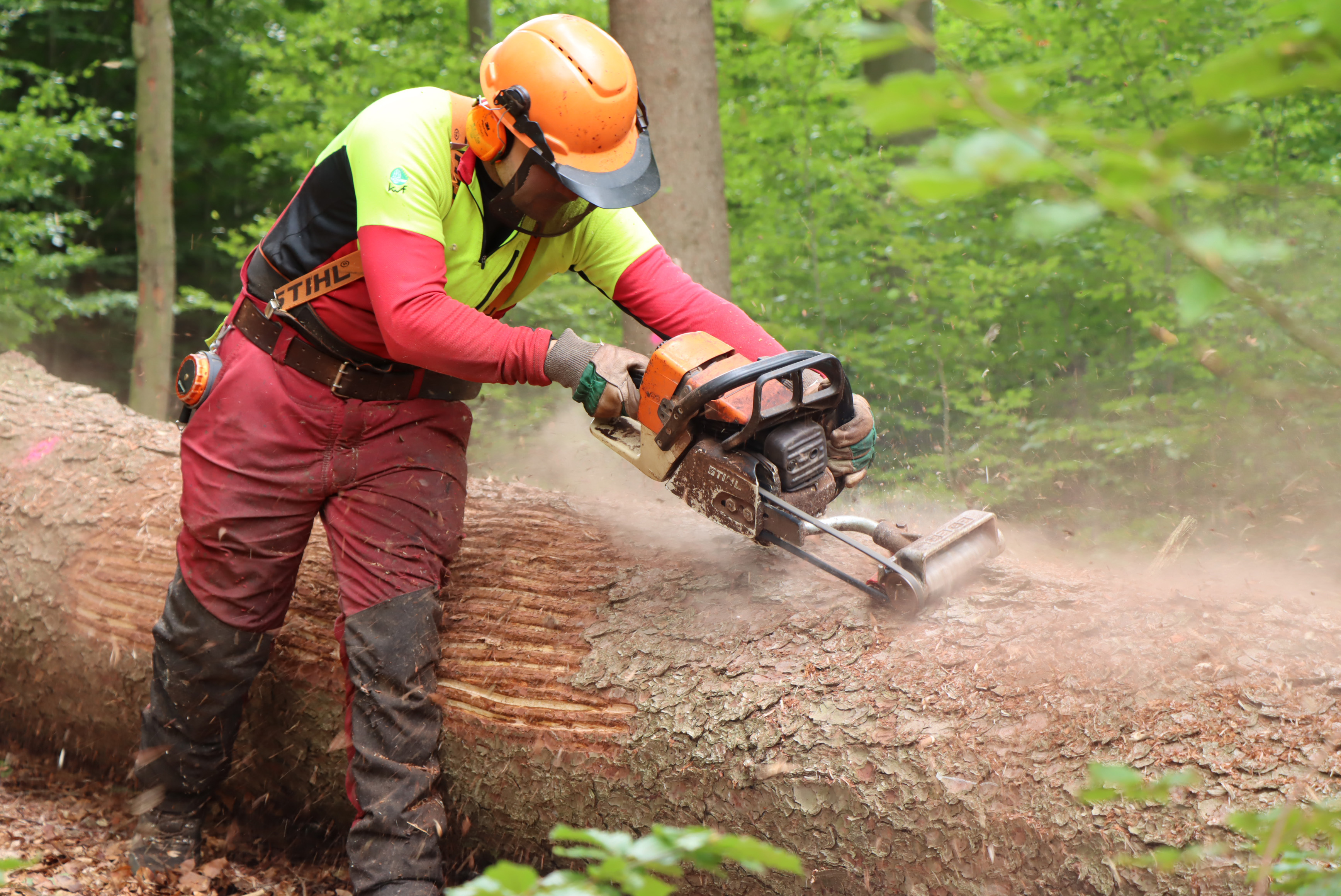 Einblicke in das Borkenkäfermanagement und aktuelle Betriebsarbeiten im Bereich Finsterau, erhalten Führungsteilnehmer von Dienststellenleiter Helmut Kustermann. (Foto: Nationalpark Bayerischer Wald)