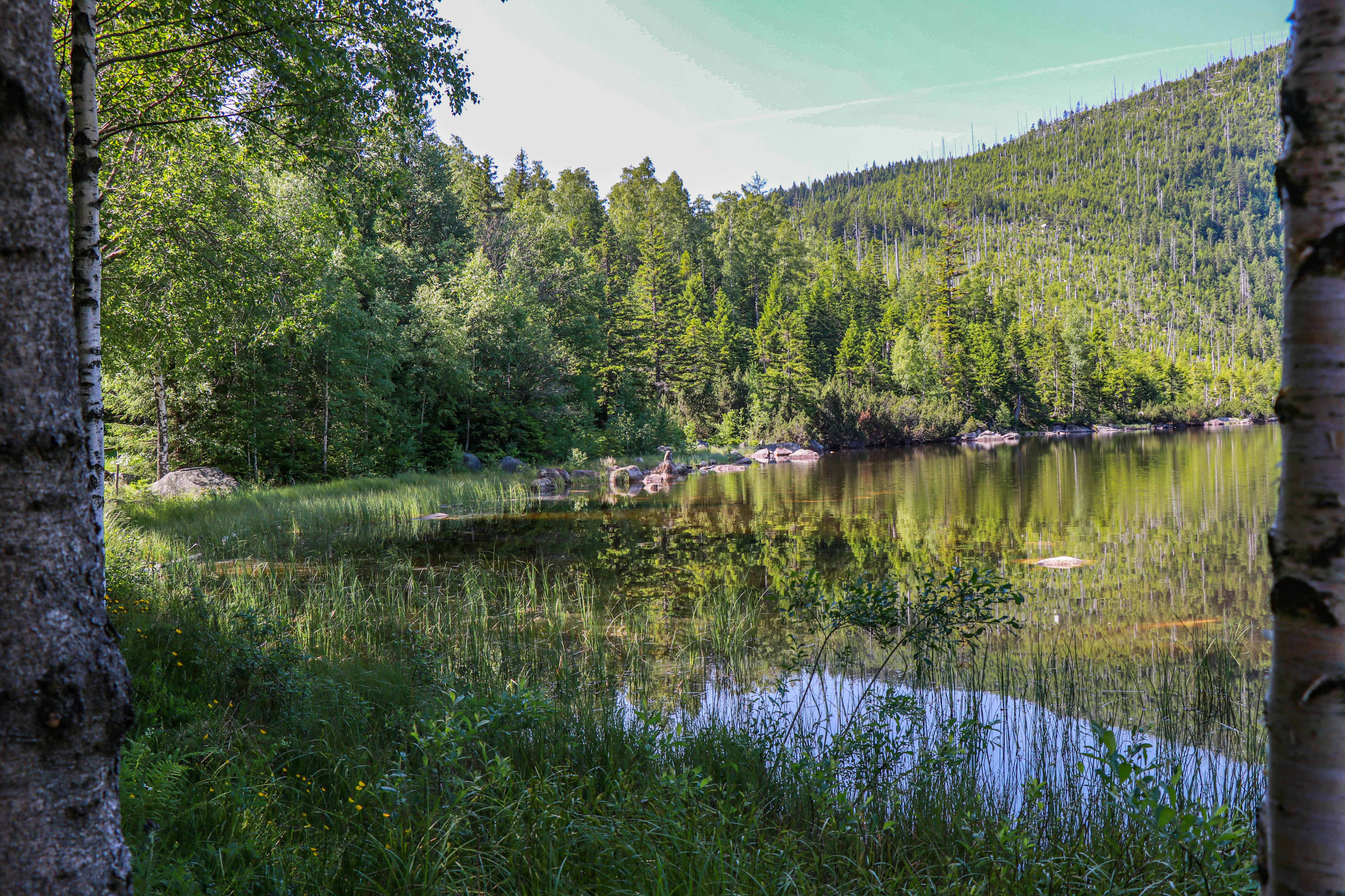 der Plöckensteinsee ist einer der landschaftlichen Highlights der grenzüberschreitenden Radtour am Sonntag. (Foto: Julia Reihofer/Nationalpark Bayerischer Wald)