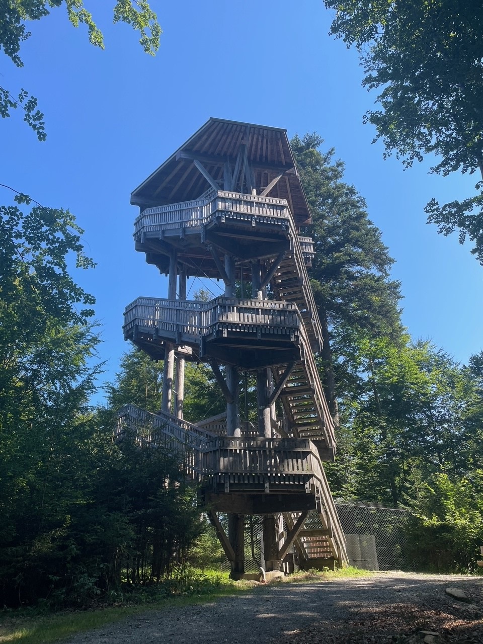 Der Aussichtsturm am Wolfsgehege wird saniert. (Foto: Nationalpark Bayerischer Wald)