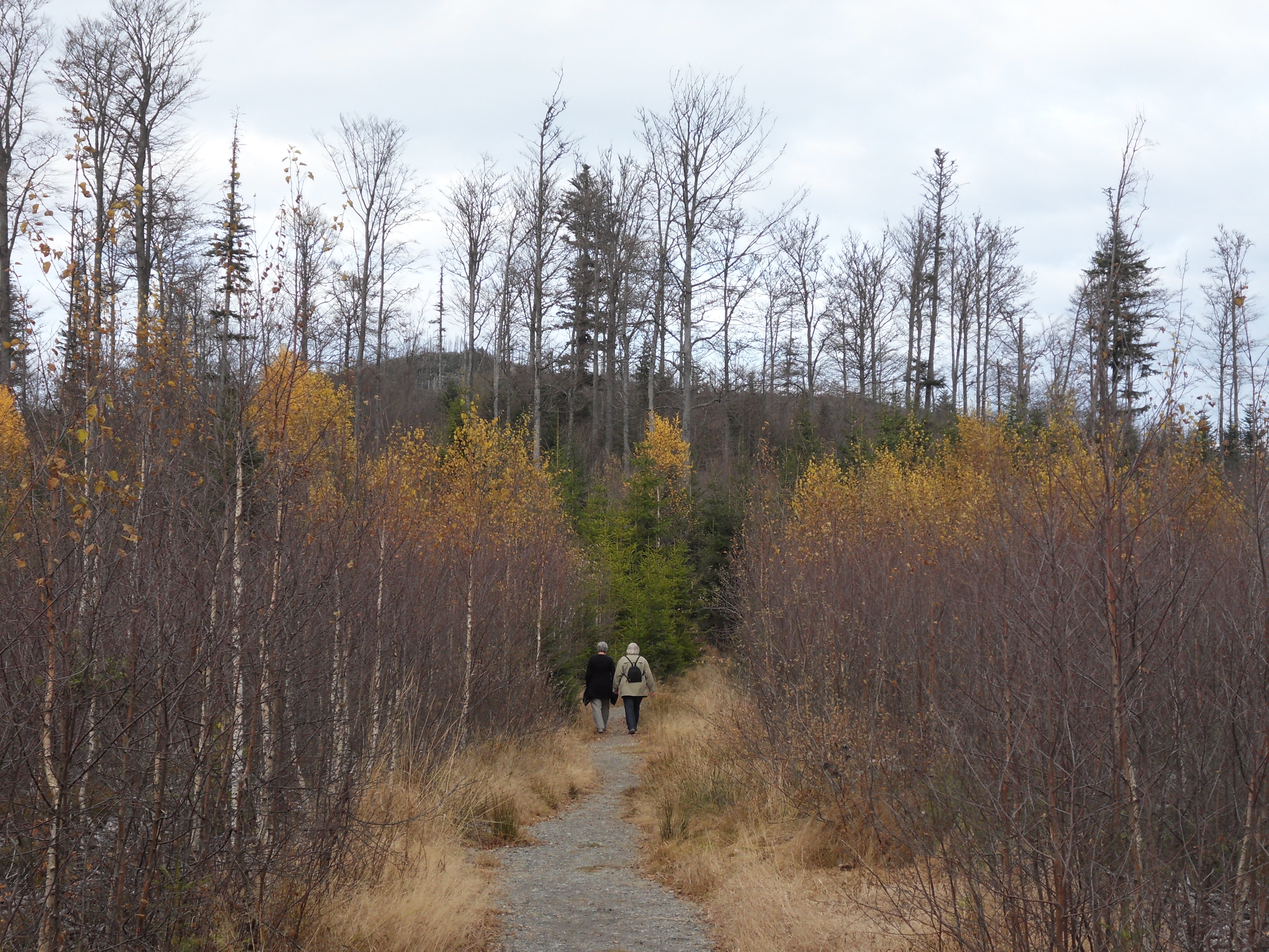Wanderer in Nationalpark