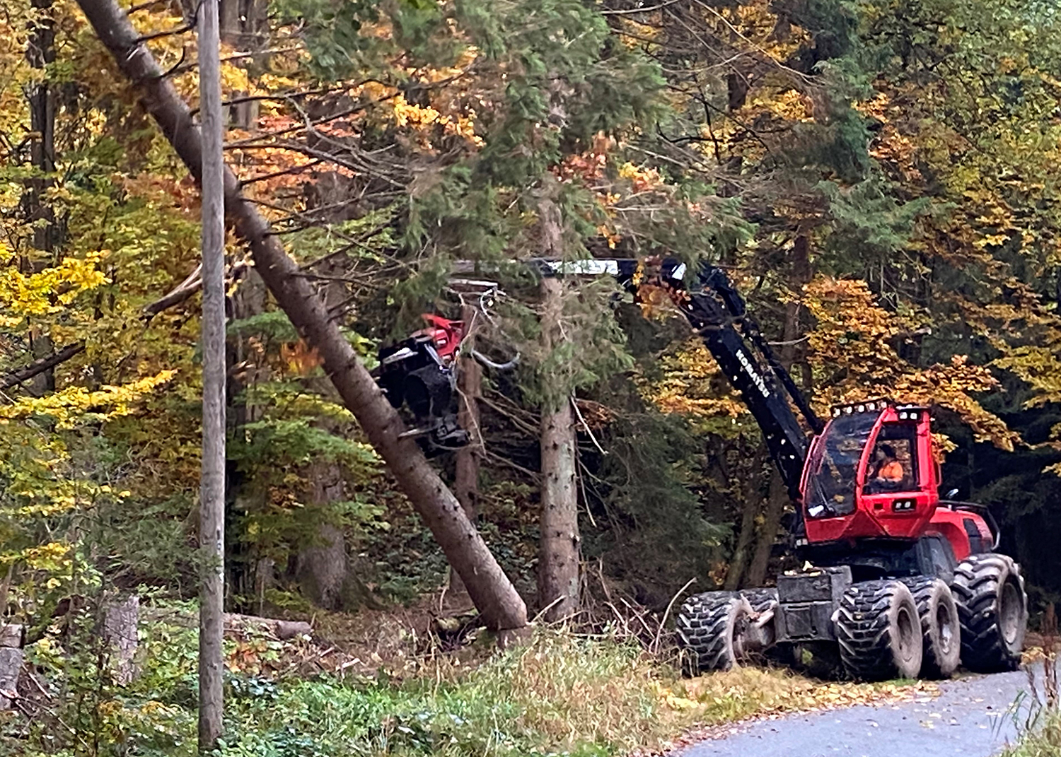 Mittels eines Harvesters wird derzeit der neue Rückeweg im Bereich der Seebachschleife angelegt. (Foto: Jürgen Pöschl / Nationalpark Bayerischer Wald) Mittels eines Harvesters wird derzeit der neue Rückeweg im Bereich der Seebachschleife angelegt. (Foto: Jürgen Pöschl / Nationalpark Bayerischer Wald)